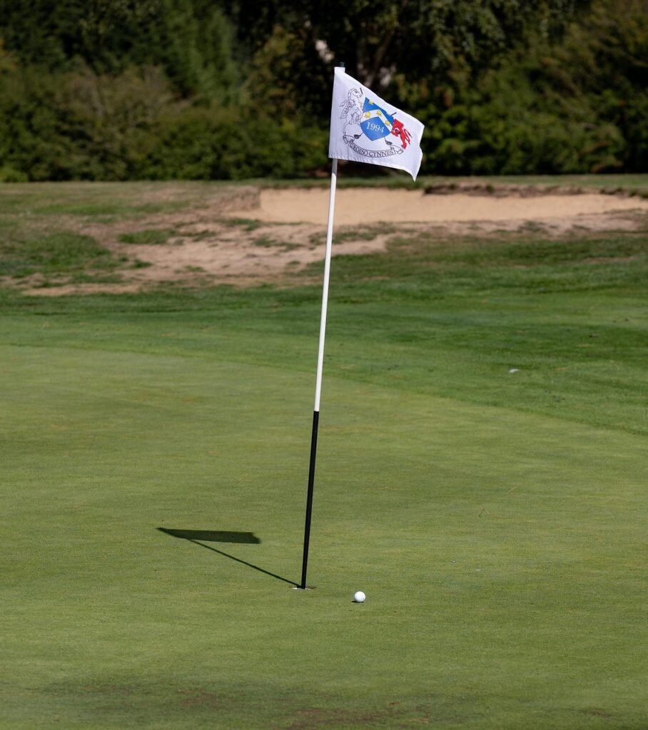 Current image: golf flag, golfing, golf course, golf, golf green, golf ball, sport, tee, ball, golf flag, golf flag, golf flag, golf flag, golf flag, golf course, golf